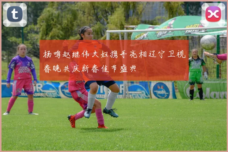 杨鸣赵继伟夫妇携手亮相辽宁卫视春晚共庆新春佳节盛典