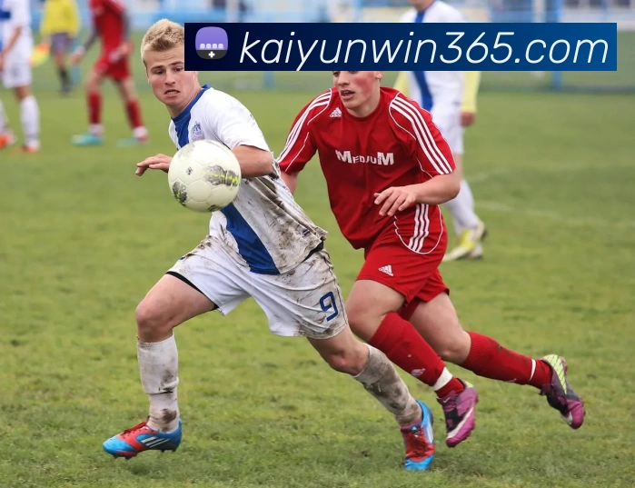 开云体育APP 高清赛事图